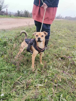 Wolfgang, sucht liebe und aktive Familie