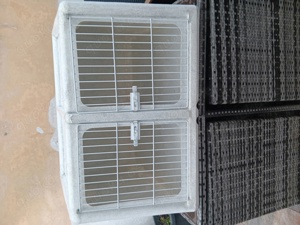Hundebox top Zustand