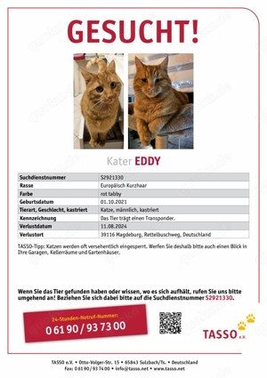 Roter Kater EDDY wird vermisst!