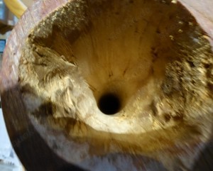 Didgeridoo, Einzelstück  Bild 9