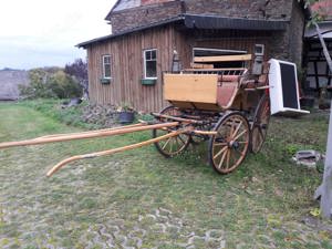 Eschenholz Kutsche 9 Personen Bild 3
