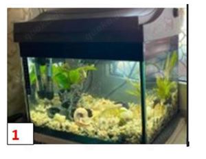 2. verschiede Aquarien