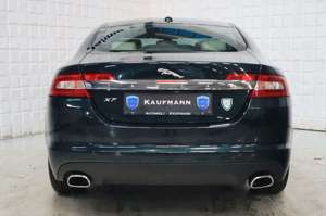 Jaguar XF 2.7 V6 Diesel Luxury Xenon Navi Leder PDC Top Bild 5