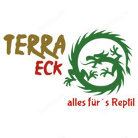 Leopardgeckos DNZ 9 2024