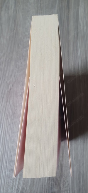 Buch "Achtung Baby!" Bild 4