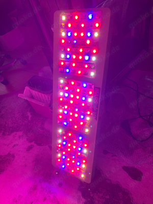 Marshydro Reflector LED Grow Light 450W 85-265V MZ-144X3 Bild 3