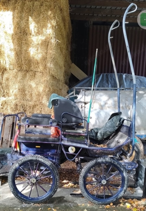 Schöne Kutsche zu verkaufen  Bild 4