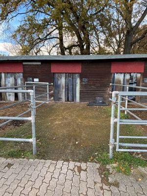 Noch 1 Doppelbox ggf. mit Auslauf für 2 Islandpferde in Hanhofen (bei Speyer) Bild 7