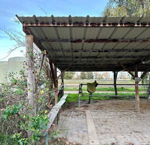 Reitbeteiligungen gesucht für mehrere Islandpferde auf Reiterhof in Hanhofen (bei Speyer) Bild 3