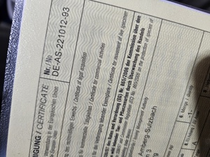 testudo graeca nabeulensis tunesische landschildkröten weibchen Bild 4 testudo graeca nabeulensis tunesische landschildkröten weibchen Bild 4