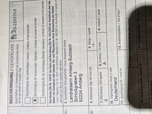 testudo graeca nabeulensis tunesische landschildkröten weibchen Bild 3 testudo graeca nabeulensis tunesische landschildkröten weibchen Bild 3