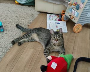 Gibst du Gute-Laune Imani ein Körbchen?