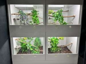 Terrarium nach Wunsch
