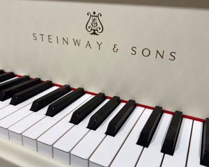 Steinway & Sons A-188 Flügel, Louis XV. Skizze 1020, Hamburg 2005 Bild 6