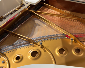 Steinway & Sons A-188 Flügel, Louis XV. Skizze 1020, Hamburg 2005 Bild 7