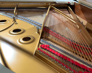 Steinway & Sons A-188 Flügel, Louis XV. Skizze 1020, Hamburg 2005 Bild 8