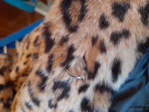 schicker Wintermantel 