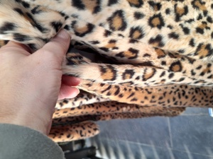schicker Wintermantel  Bild 3