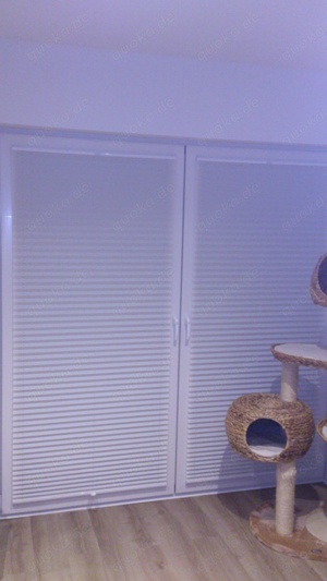 wir machen den Preis !! Plissee-Service aus Wiesmoor - Premium Plissee Faltrollos für Ihre Fenster Bild 7