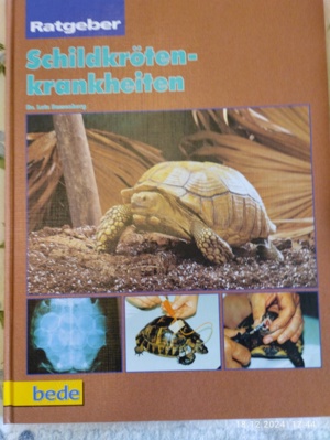Verschiedene Schildkrötenbücher, neuwertig 