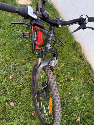 MTB 24" Zoll Carver Strict Kid Bild 2