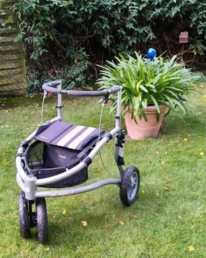 geländegängiger Rollator