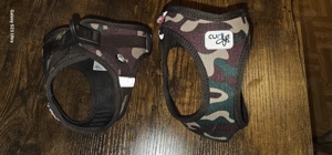 Hundegeschirre xs und s Bild 2