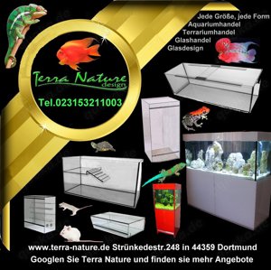 Forex Terrarium Kunststoffterrarium 150x70x100cm(LxTxH) Bild 10