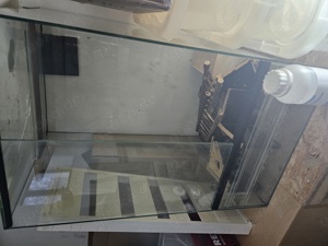 Zuchtzubehör Terrarien Boxen etc.  Bild 5