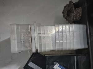 Zuchtzubehör Terrarien Boxen etc.  Bild 3