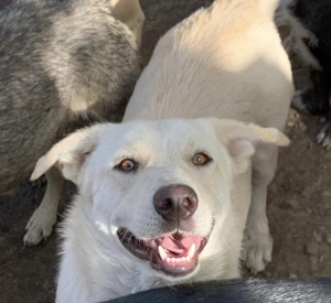 Hoppla, hier kommt der freundliche Karlchen