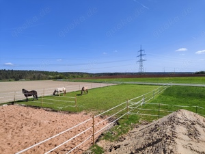 Pferdebox Stall Box frei Stute Wallach Pony 