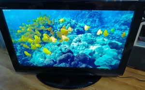 Verkaufe Fernseher Toshiba 32 LV703G