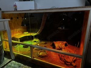 Terrarium  Bild 1