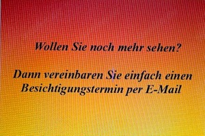 Polen! Ein Traum für Pferdefreunde: Moderner Pferdehof an der Ostsee Bild 5
