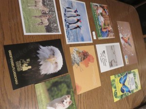 Tierkarten zu verschenken