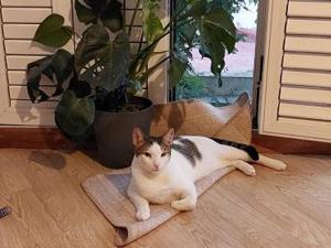 Caspar und Milo  Virneburg (ALO) Bild 3