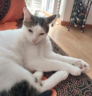 Caspar und Milo  Virneburg (ALO) Bild 4