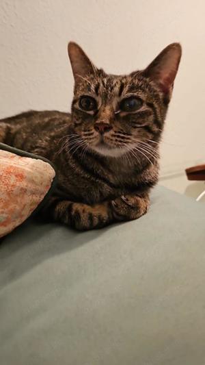 süße Gwendola in Mannheim (ALM)