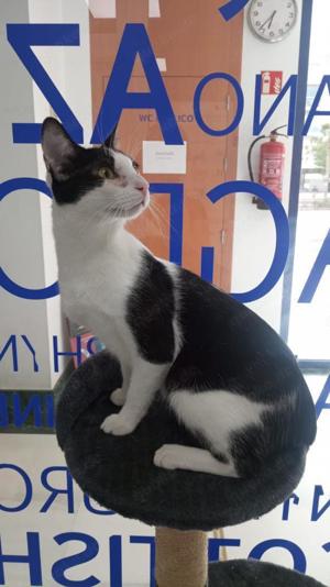 Liebevoller Bubby (ALO) Bild 4