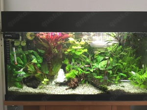 Aquarium 80cm mit viel Zubehör, inkl. Unterschrank