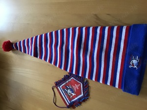 Die Adler Mannheim Mütze und Wimpel