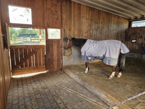 Große Laufaußenbox ab sofort frei Bild 2