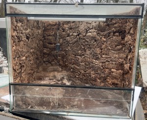 Terrarium gebraucht  Bild 3