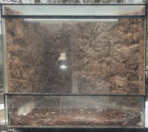 Terrarium gebraucht  Bild 2