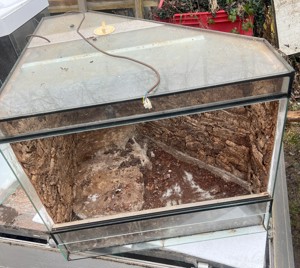 Terrarium gebraucht  Bild 4