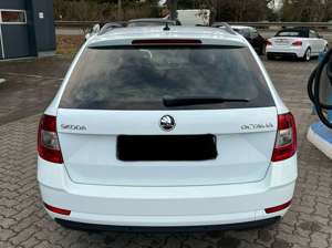 Skoda Octavia Octavia Combi 1.0 TSI DSG Drive Bild 3