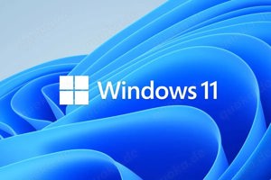 ich installiere Windows 11 auf ihrem Pc!