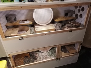 Terrarium, Eigenbau, Kleintier Gehege 