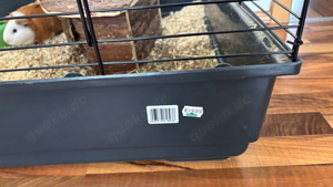 Meerschweischen + zubehör 